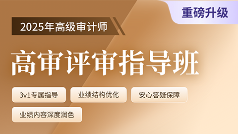 高级审计师评审指导班