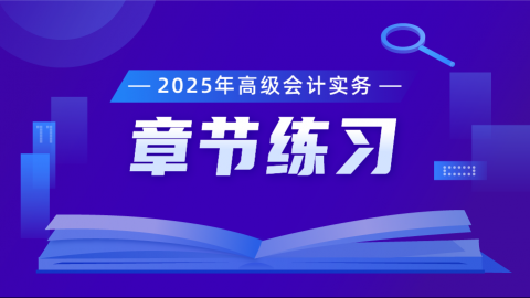 2025年高级会计实务题库练习 